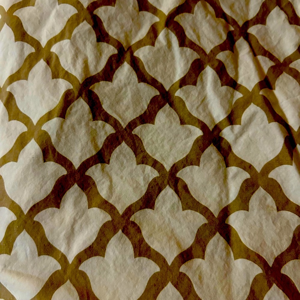 Pottery Barn Shower Curtain